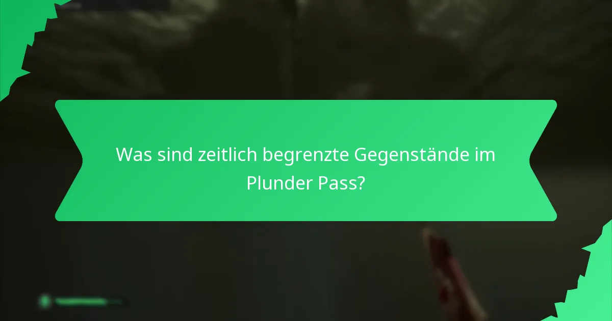 Was sind zeitlich begrenzte Gegenstände im Plunder Pass?